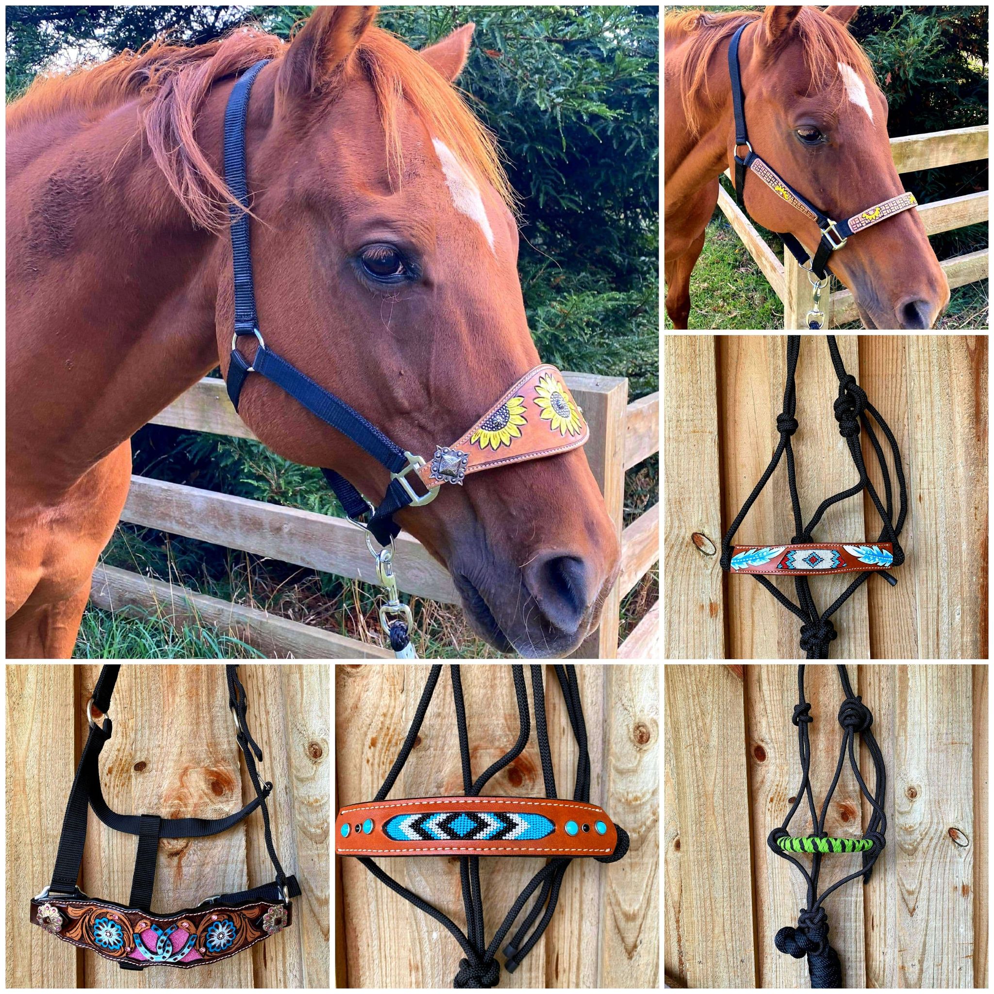 Halters & Nosebands