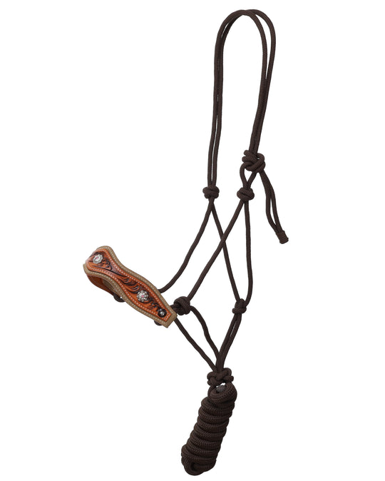 Halter -  Nylon halter and matching lead rope with leather noseband