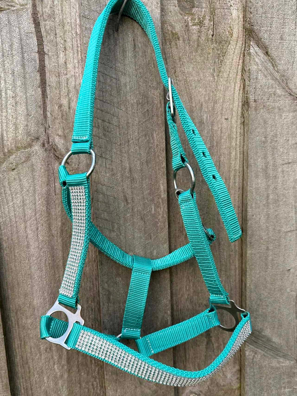 Halter -  Nylon halter with Bling Nose and sides COB