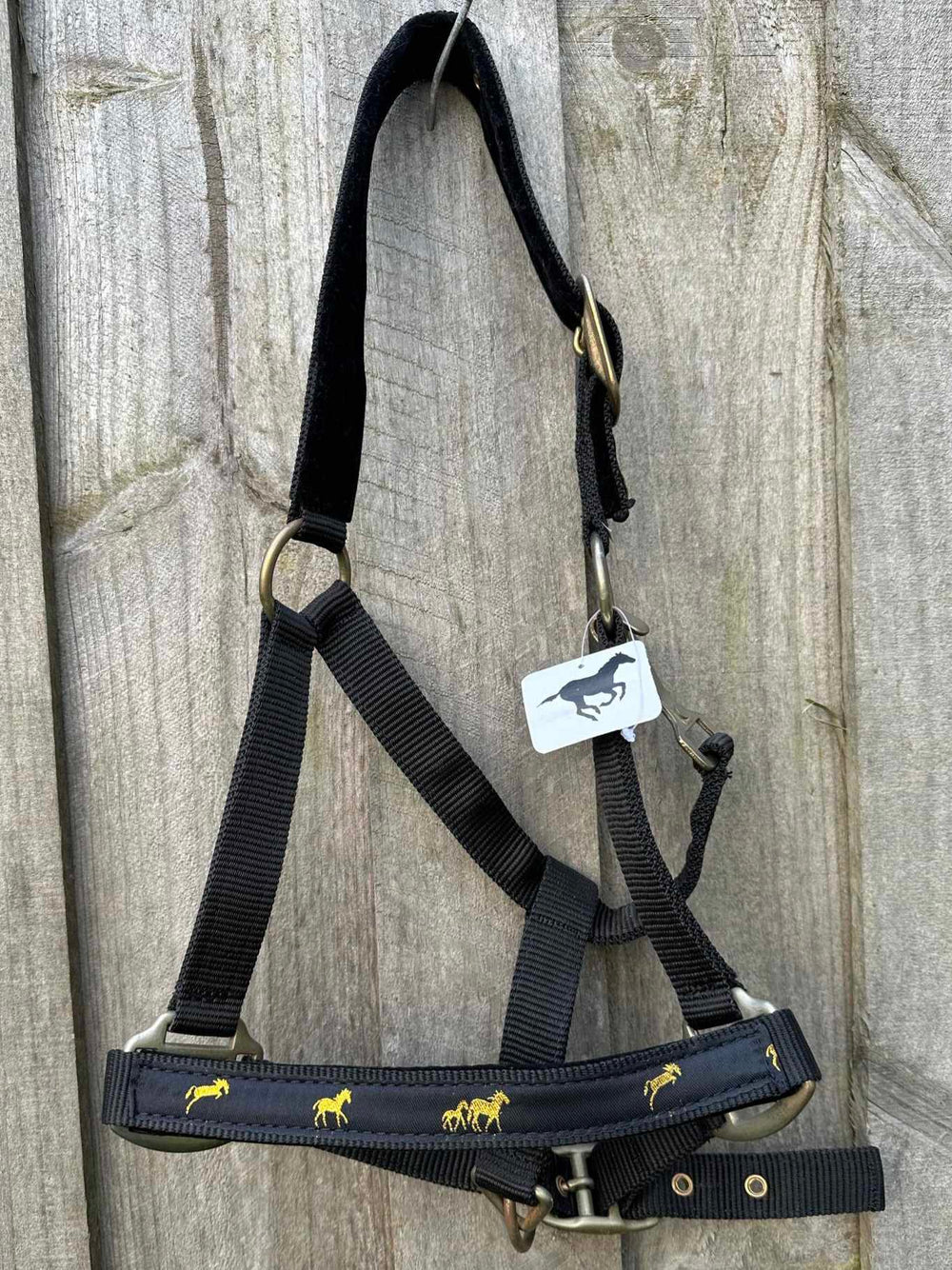 Halter -  Nylon halter with running horse COB