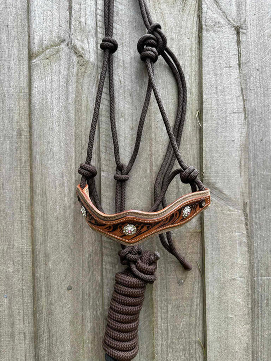 Halter -  Nylon halter and matching lead rope with leather noseband