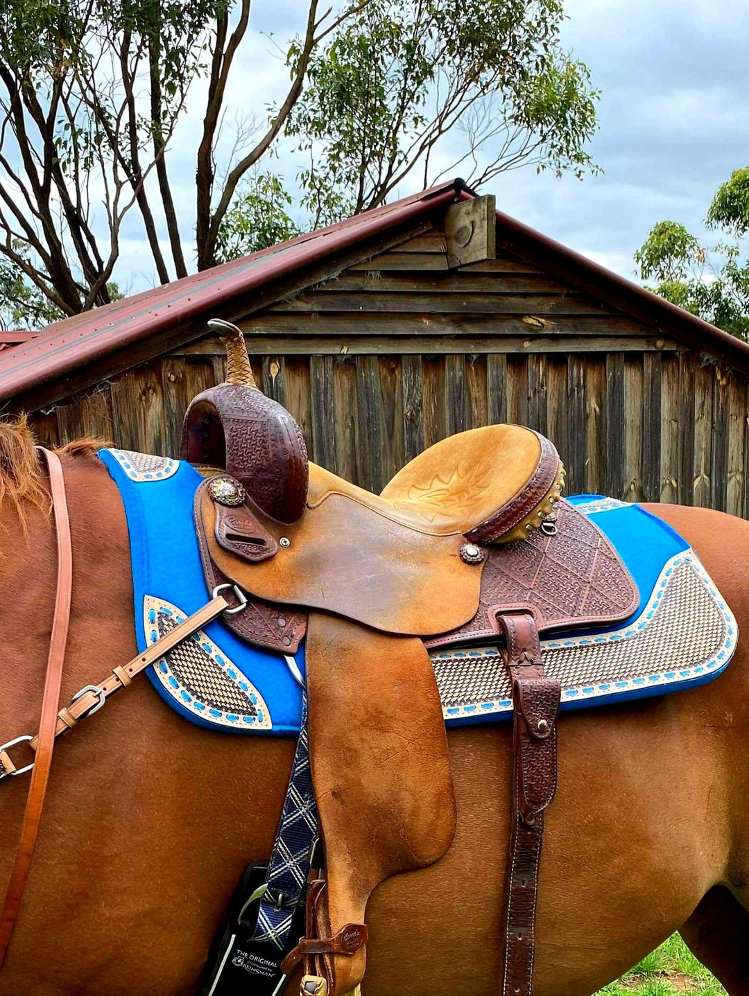 Western Saddle Pad Felt Contoured 31" X 32"   Royal Blue