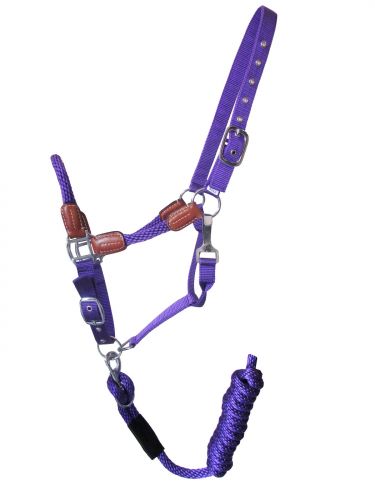 Halter -  Nylon halter and matching lead rope with leather accents Purple