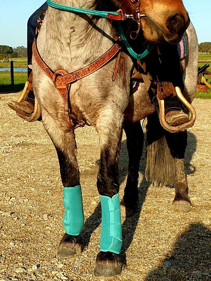 Boot - ® Elite Equine Sport Medicine Boot Pink