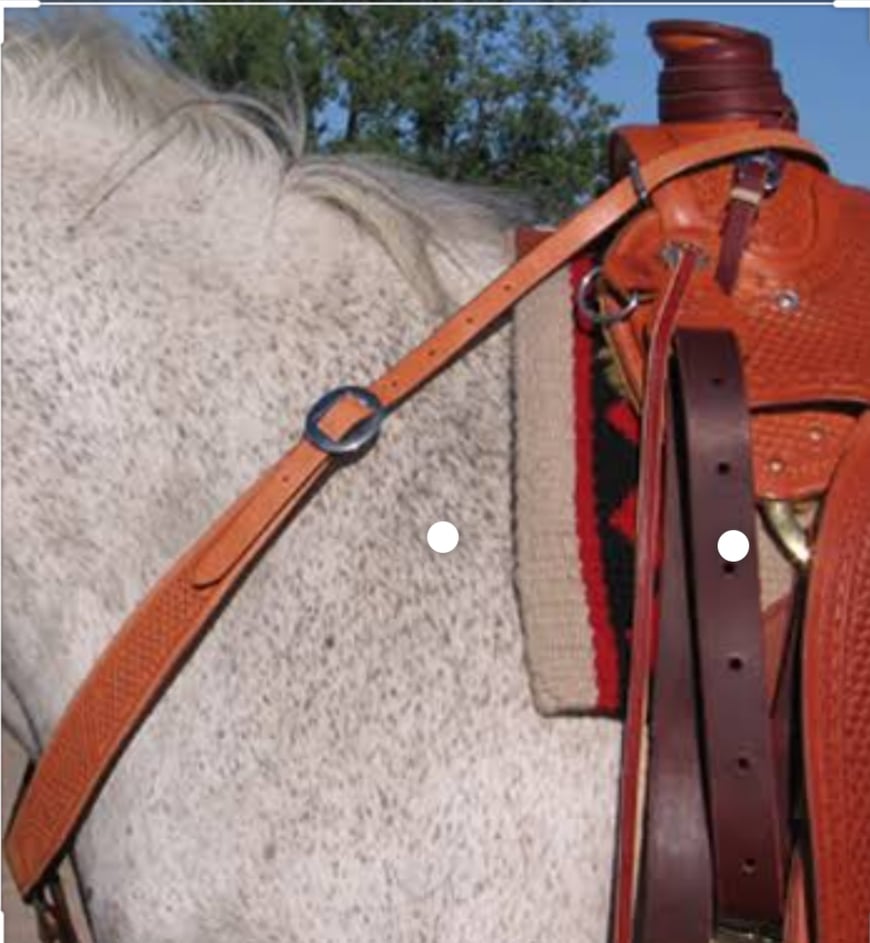 Pulling  - Beautiful Leather Breastcollar Breastplate