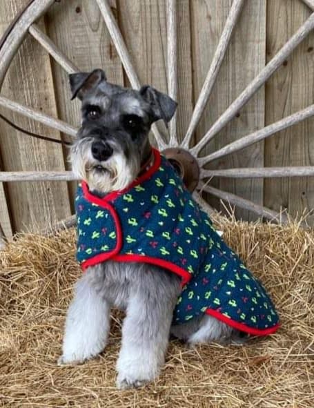 Kazoo Pet Cactus Teepee Snuggie Dog Coat