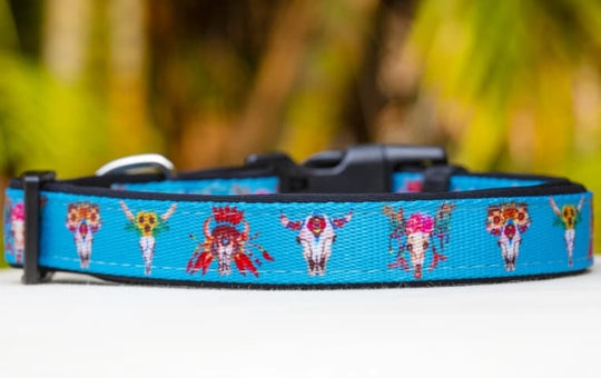 Dizzy Dog Collar Snap Closure Aqua Cow Skull Print - Large