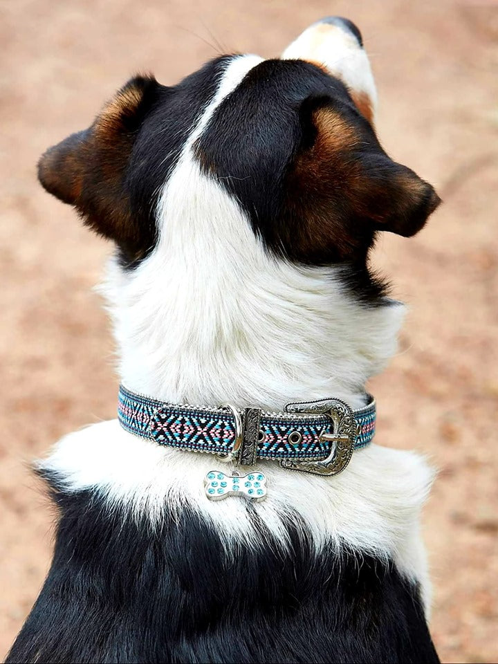 Collar - Pure Western Bailey Blue Dog Collar XS