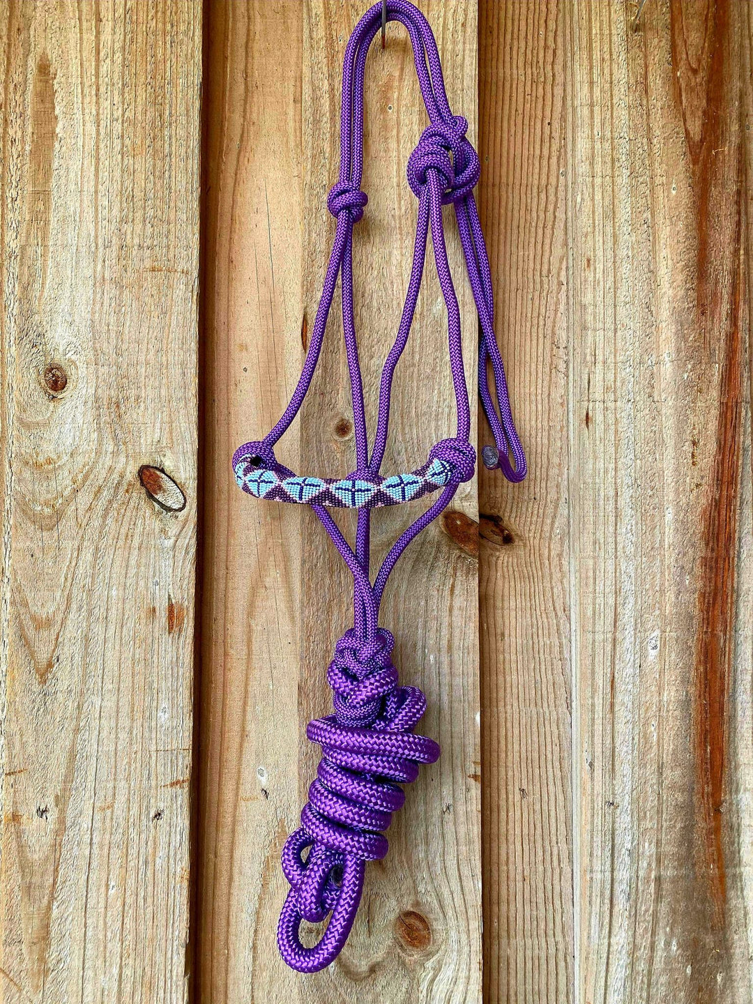 Halter - Cowboy Knot Halter with Beaded Nose Band Purple