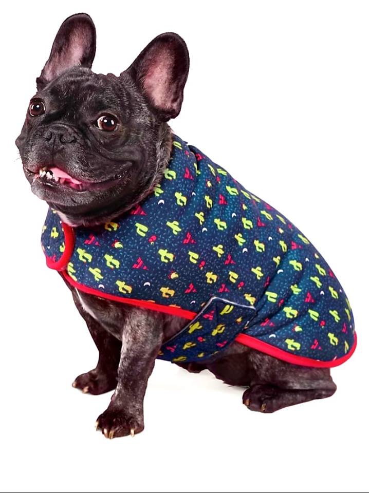 Kazoo Pet Cactus Teepee Snuggie Dog Coat