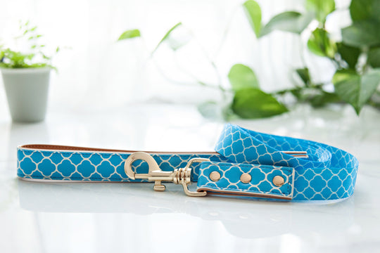 Dog Lead Aqua Blue Print 130cm