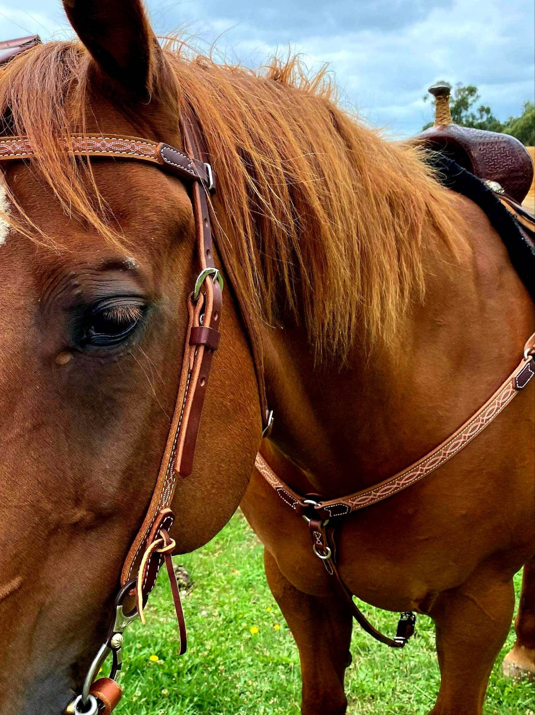 Western Bridle Weaver Soft Harness Leather Headstall with Boot Stitch Detail