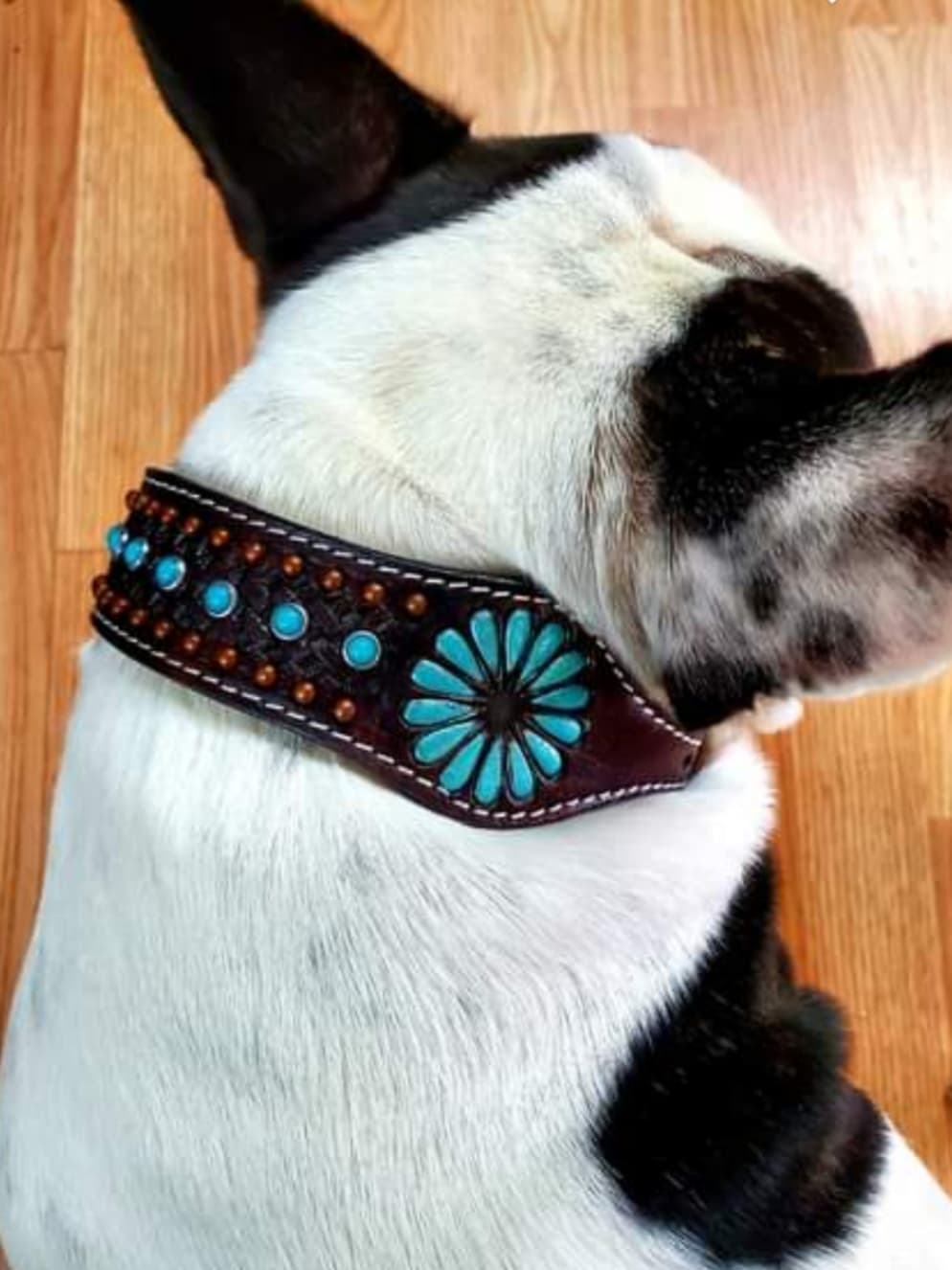 Couture ™ Genuine leather dog collar with a beaded inlay Small